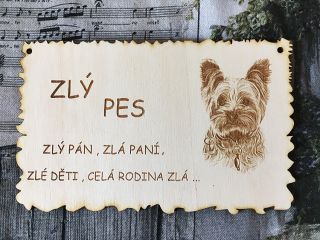 Cedulka 